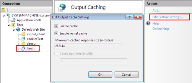 Output Caching 